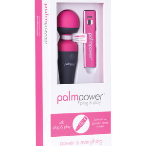 Palm Power Plug & Play