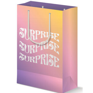 Surprise Gift Bag