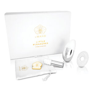 Le Wand Little Pleasures 6 pc Kit - Chrome