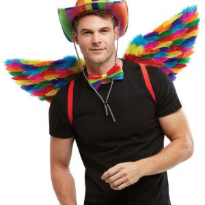 NO ETA=Rainbow Small Feather Wings