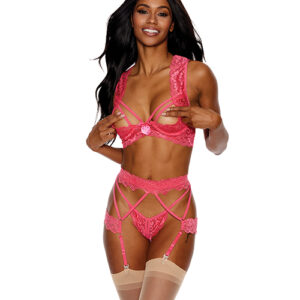 Lace Underwire Peek a Boo Bra, Garterbelt & G-String Coral SM