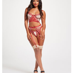 Sheer Stretch Mesh w/Floral Contrast Embroidery Bustier, Garter Belt & Thong Red/Nude SM