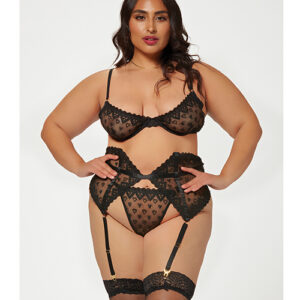 Valentines Heart Embroidered Mesh Bra, Waspie & Panty Black 3X/4X
